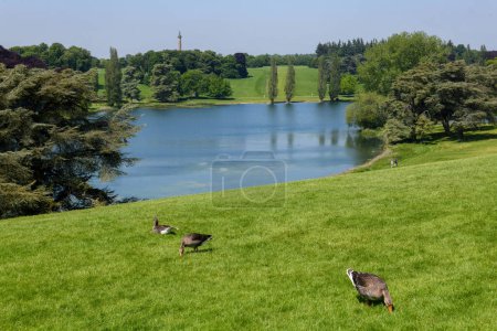Téléchargez les photos : Vue sur le lac de Blenheim palais sur Woodstock en Angleterre - en image libre de droit