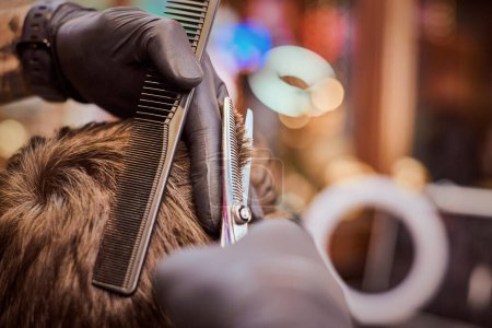 Photo for Male haircut in barbershop close up, client getting haircut by hairdresser with comb and scissors. Hairdresser makes hairdo in hairdresser salon, new stylish modern haircut for man - Royalty Free Image