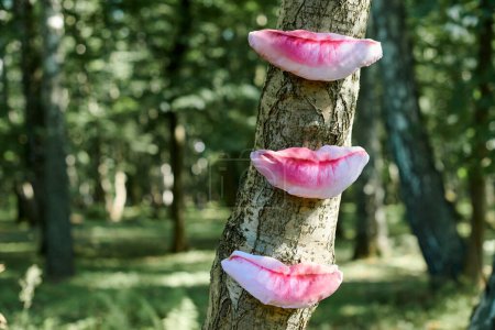 Photo for Art object of human lips on tree trunk in green forest background, trees taste feeling ecological concept, environmental protection outdoor art exhibition. Trees sense of taste, unity with nature - Royalty Free Image
