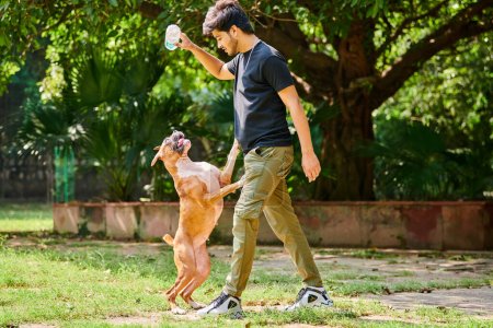 Young indian man playing with boxer dog on green summer lawn in public park, outdoor jumping dog catch training on sunny meadow. Indian man pet owner teaching boxer dog to catch item, pet learning