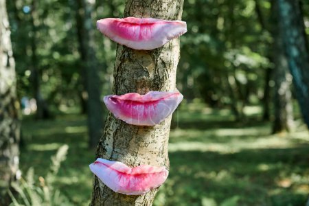 Photo for Art object of human lips on tree trunk in green forest background, trees taste feeling ecological concept, environmental protection outdoor art exhibition. Trees sense of taste, unity with nature - Royalty Free Image