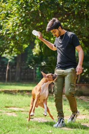Young indian man playing with boxer dog on green summer lawn in public park, outdoor dog training on sunny meadow. Indian man pet owner training boxer dog of attentiveness, outdoor pet learning