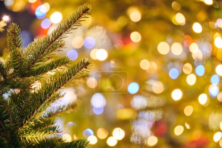 Photo for New year christmas tree branch with yellow flickering lights of garlands copy space background, merry christmas and happy new year mood, twinkling lights of street decorations, close up view to lights - Royalty Free Image