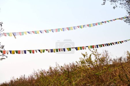 Colorful Tibetan prayer flags flutter ancient prayers into serene mountain wind at top of high hill on blue sky background, symbolizing spiritual energy peaceful tranquility