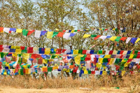 Colorful Tibetan prayer flags flutter in wind in green Kathmandu forest symbolizing serene ambiance and spiritual heritage of Nepali region, connection between earthly and spiritual realms