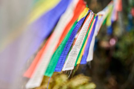 Des drapeaux de prière tibétains colorés flottent dans le vent dans la forêt verte de Katmandou symbolisant l'ambiance sereine et le patrimoine spirituel de la région népalaise, la connexion entre les royaumes terrestres et spirituels