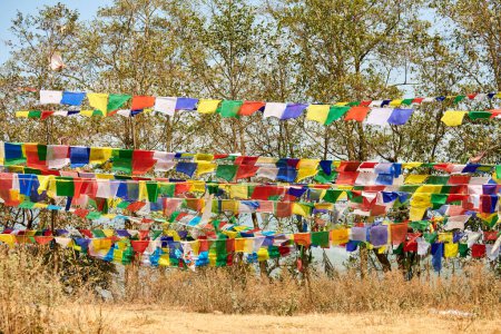 Bunte tibetische Gebetsfahnen flattern im Wind im grünen Kathmandu-Wald und symbolisieren die ruhige Atmosphäre und das spirituelle Erbe der nepalesischen Region, die Verbindung zwischen irdischen und spirituellen Bereichen