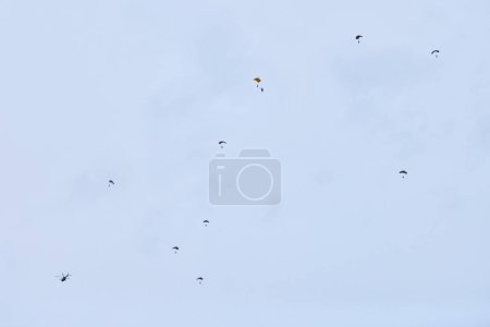 Fuerzas aerotransportadas paracaidistas ondeando la bandera de Rusia y banderas de unidades militares, ejercicio militar para la celebración del Día de las Fuerzas Aerotransportadas con el aterrizaje de formación, la división aerotransportada del ejército desciende