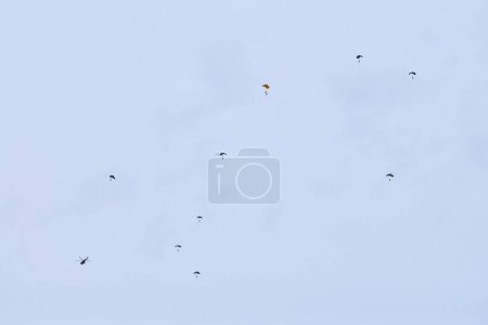Airborne forces paratroopers soaring holding Flag of Russia and flags of military units, military exercise for celebration of Airborne Forces Day with formation landing, army airborne division descend