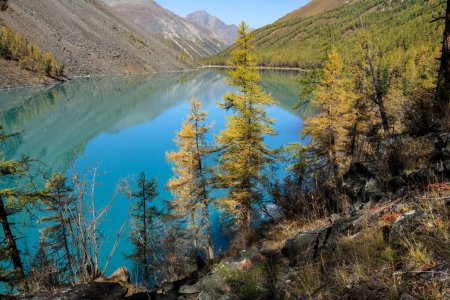 Foto de Lago Shavlo, montañas de Altai, Siberia, Rusia - Imagen libre de derechos