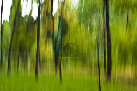 Foto de Imagen borrosa por movimiento de un bosque, mostrando tonos verdes y amarillos con vetas verticales que representan árboles, creando un fondo natural abstracto. - Imagen libre de derechos