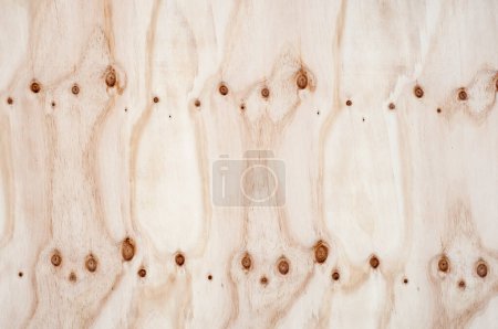 Foto de Textura de madera de fondo. tablero de madera contrachapada con nudos fondo de primer plano. - Imagen libre de derechos
