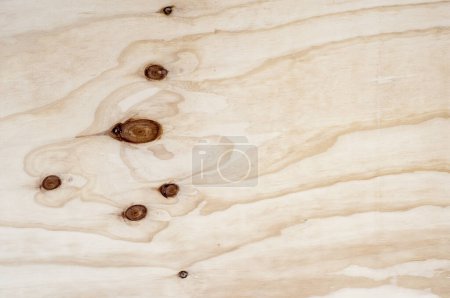 Foto de Textura de madera de fondo. tablero de madera contrachapada con nudos fondo de primer plano. - Imagen libre de derechos