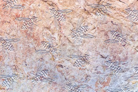 Photo for Bee pattern relief on stone surface,extinction concept - Royalty Free Image