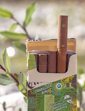 Foto de Paquete de cigarritos Chesterfield contra plantas desenfocadas, macro primer plano - Imagen libre de derechos