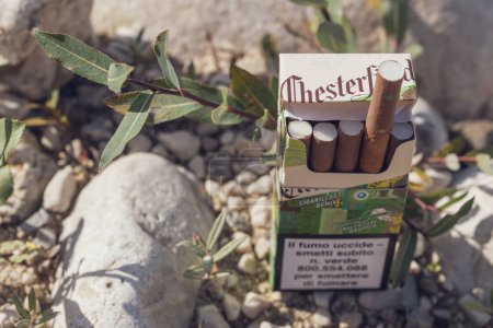 Foto de Paquete de cigarritos Chesterfield en el entorno natural de la orilla del río - Imagen libre de derechos