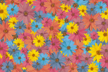 Foto de Flores multicolores, fondo florido, textura marco completo - Imagen libre de derechos