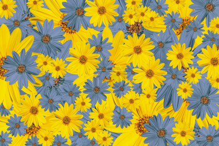 Téléchargez les photos : Fleurs jaunes et bleues, texture fleurie, fond, plein cadre - en image libre de droit