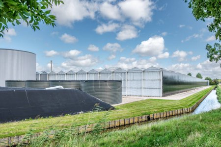 Téléchargez les photos : Perspective view of a modern industrial greenhouse with solar and rainwater harvesting systems in Westland, the Netherlands. Westland est une région des Pays-Bas. - en image libre de droit