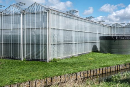 Perspective view of a modern industrial greenhouse with rainwater harvesting system in the Westland, Netherlands. Westland est une région des Pays-Bas.