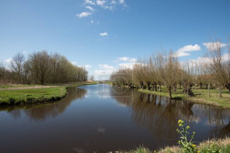Téléchargez les photos : Beau parc paysager, appelé Het Abtwoudse Bos, à la frontière de la ville de Delft, Pays-Bas. La forêt avec de nombreux cours d'eau et de petits ponts a été construite il y a 40 ans. - en image libre de droit