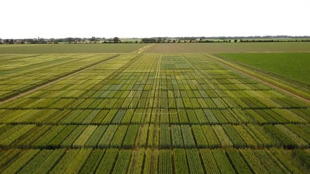 Téléchargez les photos : Vue aérienne panoramique des champs cultivés en Émilie-Romagne, Italie. - en image libre de droit