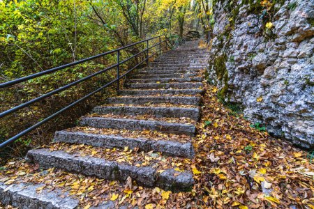 Foto de Viejas escaleras de piedra cubiertas por el follaje en otoño. - Imagen libre de derechos