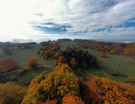 Photo for Aerial view of autumn foliage in the Canfaito park. Marche Region, Italy. - Royalty Free Image
