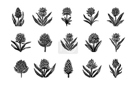 Linotype floral icon collection in whimsical vector art. Decorative foliate design for rustic botany set