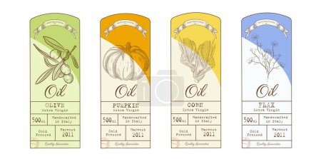 Vegetable oil labels. Vector print template in hand drawn style. Set in vintage style. Pumpkin oil, olive flax and corn,