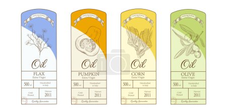 Olive oil glass bottles with olive oil splash. Vector realistic template design.