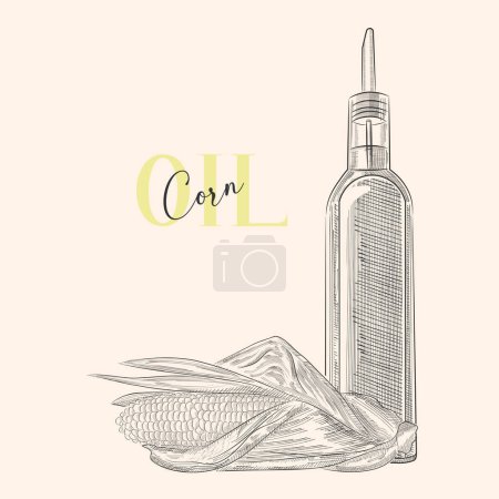 Vintage bouteille d'huile de maïs peinte à la main. Bouteille isolée ombragée avec huile végétale et maïs. Style gravure. EPS vectoriel 10