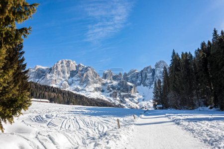 Foto de Dolomiti paisaje de invierno, nieve y picos de Pale di San Martino vista desde Val Venegia, en el parque natural de Trentino. - Imagen libre de derechos