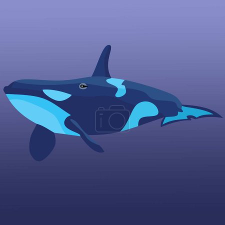 Photo for Blue Whale Deep Sea Marine Animal - Royalty Free Image