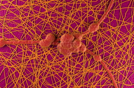 Téléchargez les photos : Cellules neuronales dans le système nerveux humain - Illustration 3D vue du dessus - en image libre de droit