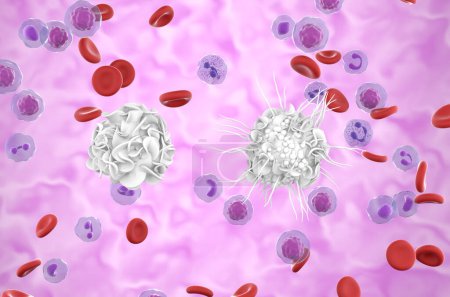 Foto de Immature dendritic cell (left) and mature dendritic cell (right) - isometric view 3d illustration - Imagen libre de derechos