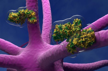 Téléchargez les photos : La toxine botulique s'échappe et pénètre dans le système nerveux central - Illustration 3D vue rapprochée - en image libre de droit