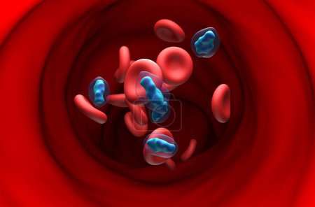 Téléchargez les photos : Molécule de paracétamol (acétaminophène, TYL) dans le flux sanguin - vue de section Illustration 3d - en image libre de droit