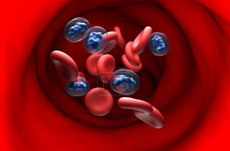 Foto de Hormonas de testosterona en el flujo sanguíneo - sección ver ilustración 3d - Imagen libre de derechos