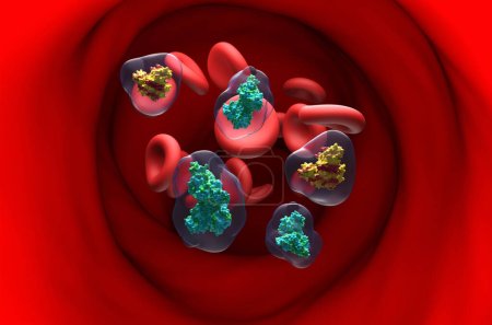 Foto de Creatina Tipo de músculo cinasa (CK-MM) y tipo cerebral (CK-BB) enzima en el flujo sanguíneo - ver ilustración en 3D - Imagen libre de derechos