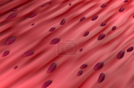 Photo for Cardiac Muscle Tissue - 3d illustration isometric view - Royalty Free Image