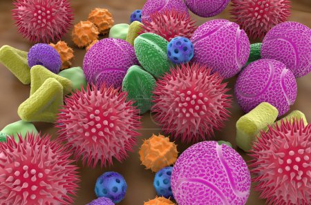 Téléchargez les photos : Différents types de grains de pollen - vue isométrique Illustration 3D - en image libre de droit