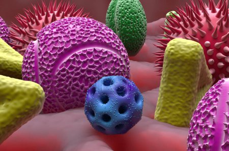Téléchargez les photos : Plusieurs types de grains de pollen dans le tissu pulmonaire - vue rapprochée Illustration 3D - en image libre de droit
