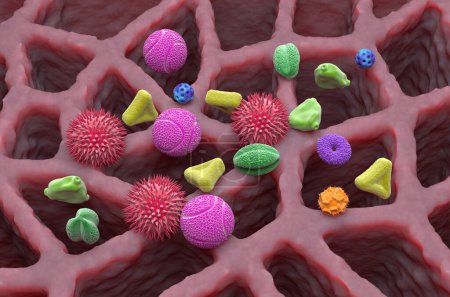 Téléchargez les photos : Différents types de grains de pollen dans le tissu pulmonaire - vue isométrique Illustration 3D - en image libre de droit