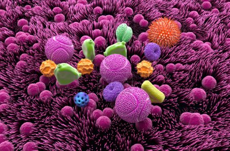 Téléchargez les photos : Différents types de grains de pollen dans la trachée - vue isométrique Illustration 3D - en image libre de droit