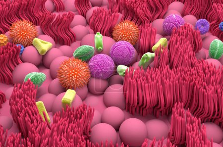 Téléchargez les photos : Différents types de grains de pollen dans la muqueuse nasale - vue isométrique Illustration 3D - en image libre de droit