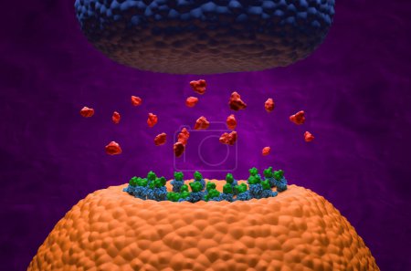 Naloxona se une a los receptores GABA, bloqueando así la unión de opioides - vista isométrica 3d ilustración