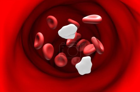 Low level of Glucose in the blood - section view 3d illustration