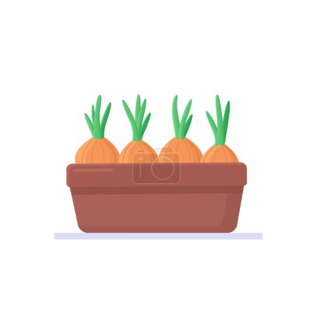 Illustration for Seedlings of bulbs in a pot. Gardening and plant growing. Vector illustration in flat style. - Royalty Free Image