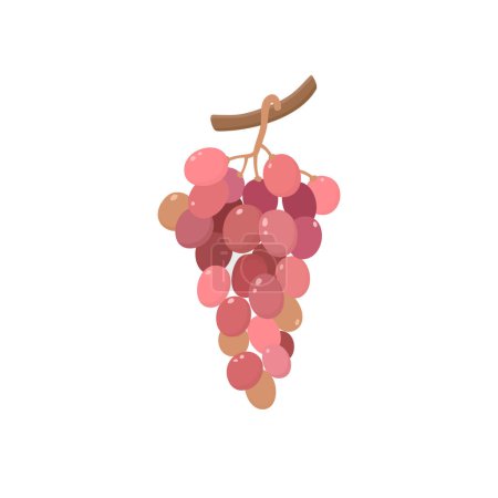 Illustration for Grape cluster. Branch berries. Vector illustration in flat style. - Royalty Free Image